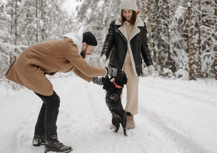 téli elcsendesedés