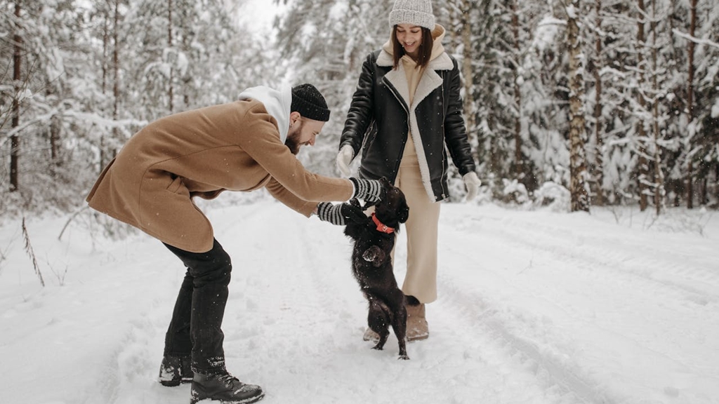 téli elcsendesedés